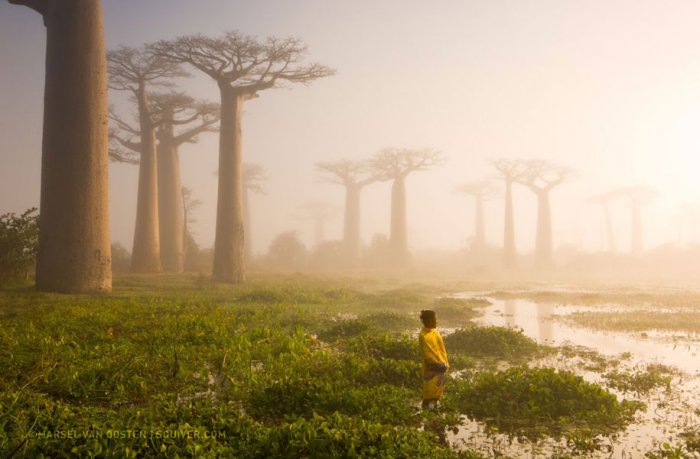 20 лучших фотографий от National Geographic